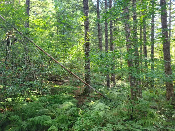 Heslen Rd, Carson, WA 98610