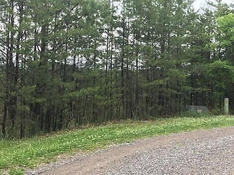5th image of 0 Bullet Mountain Dr Lot 13