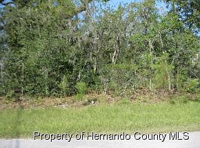 2nd image of 11187 Kiska Wren Rd