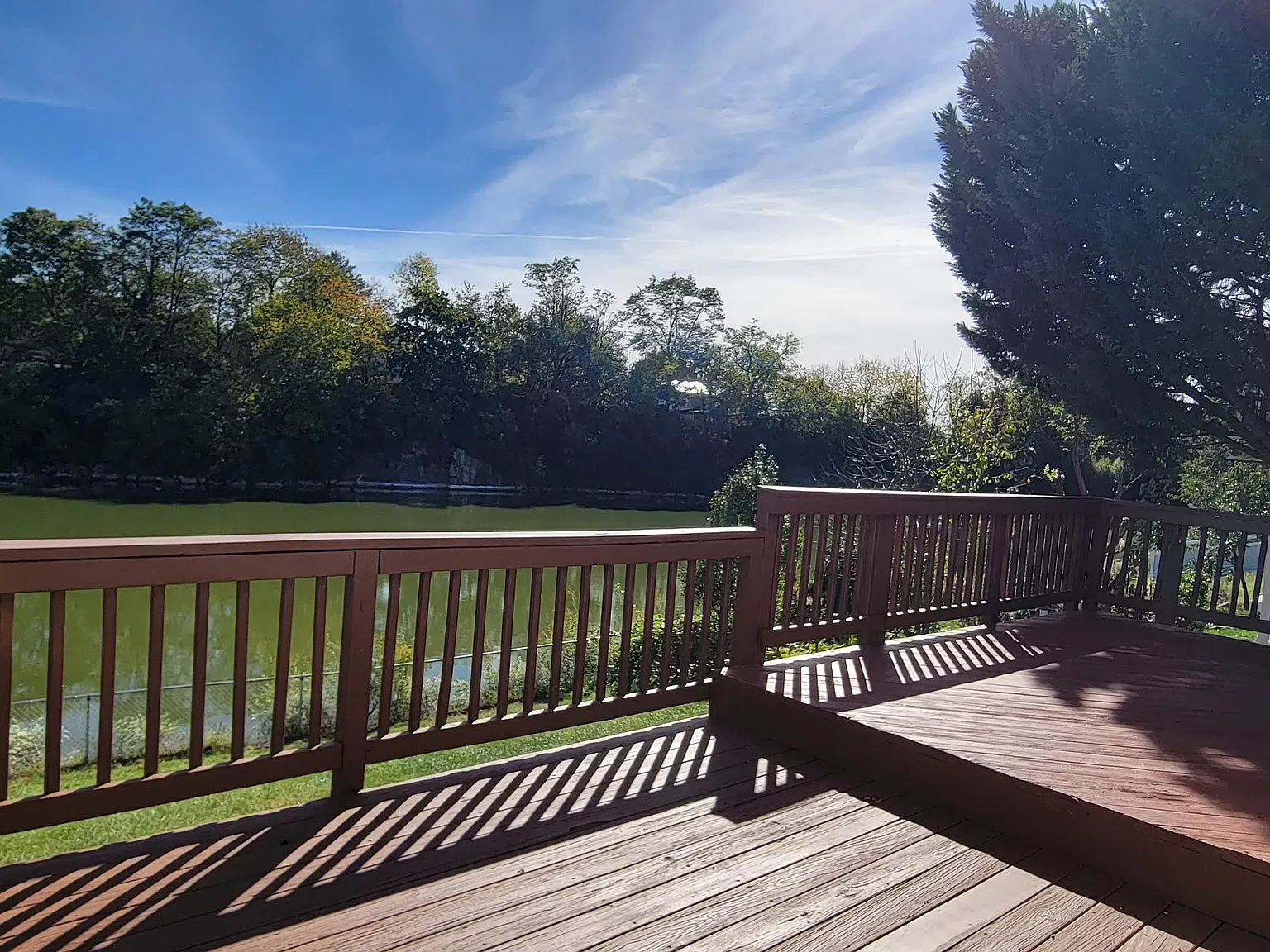 4 bed, 2264 sqft, $3,950 — Photo 4