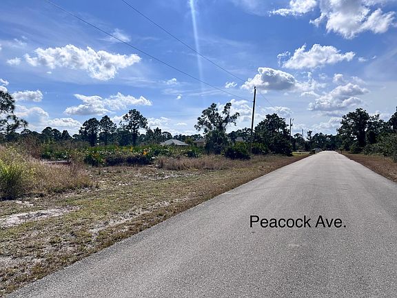 5th image of 710 Peacock Avenue
