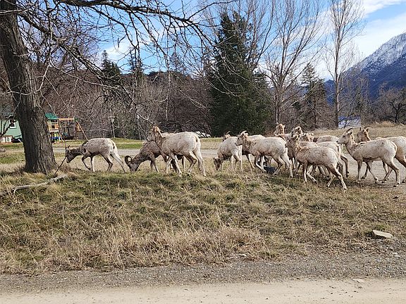 4th image of 9 Henry Creek Rd