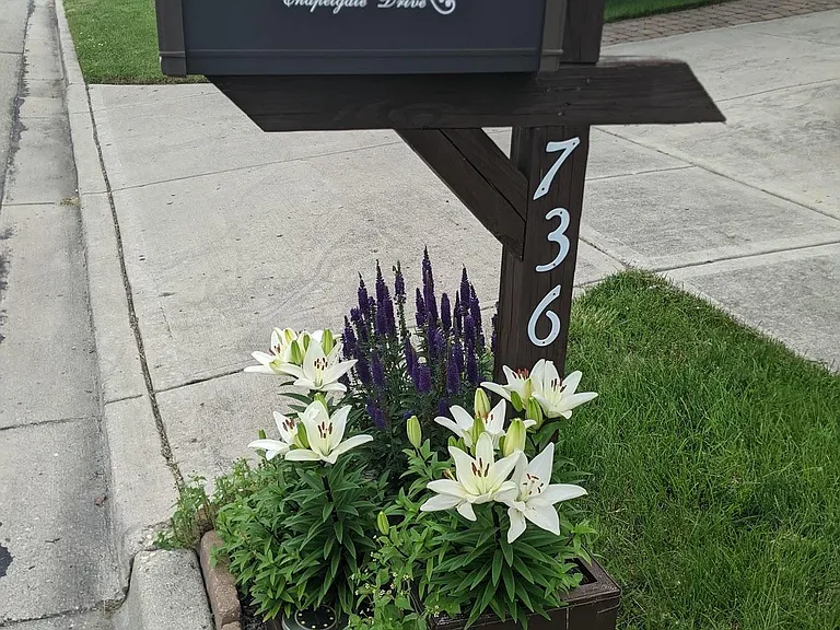 736 Chapelgate Dr — Photo 38