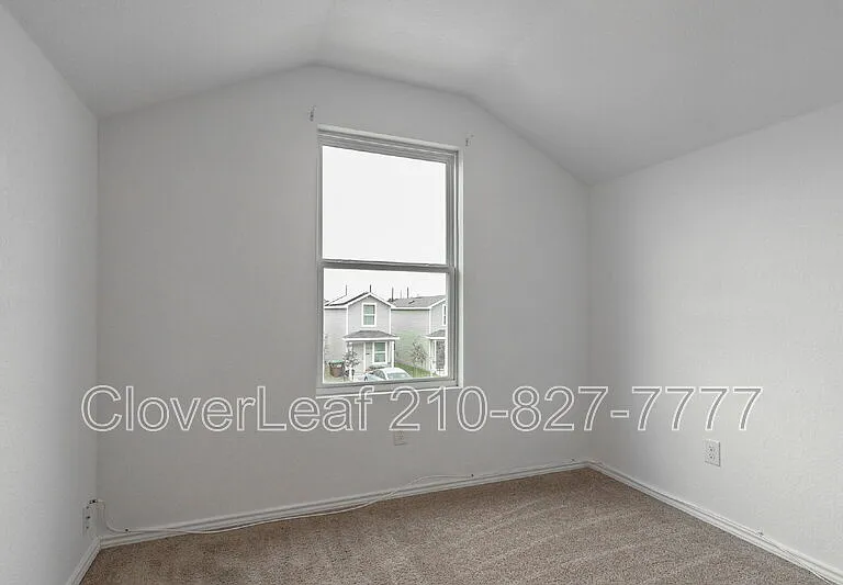 7128 Elm Cv — Photo 18