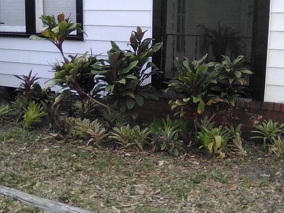 Outside view from the driveway of front porch and landscaping