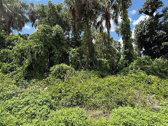3rd image of 16459 Bauers Avenue