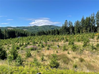 0 Pe Ell McDonald Road, Chehalis, WA, 98532