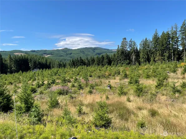 0 Pe Ell McDonald Road, Boistfort, WA 98532