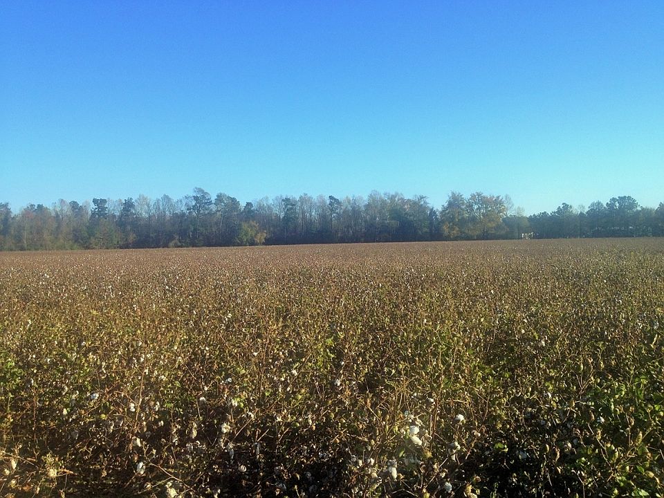 1st image of Mallard Dr