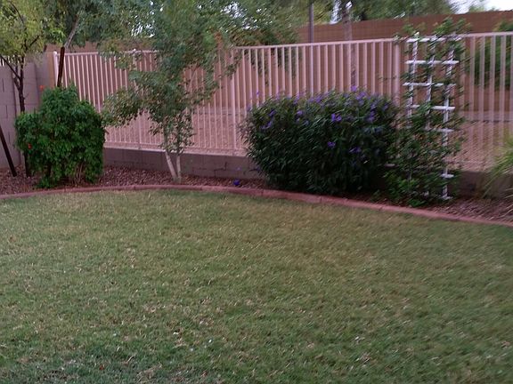 Grassy play area