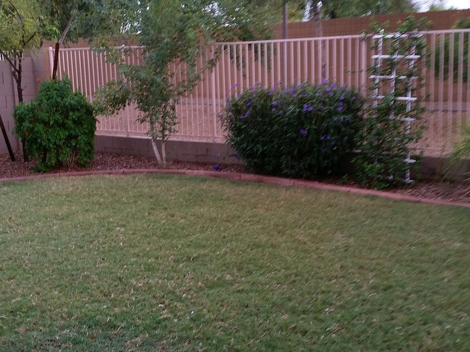 Grassy play area