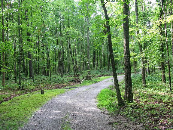 2-Driveway Leading to Home