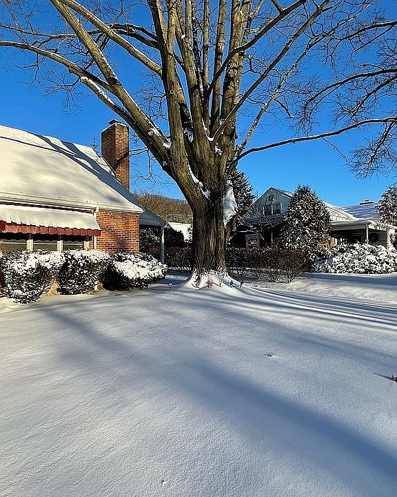 2nd image of 814 Brighton Ave
