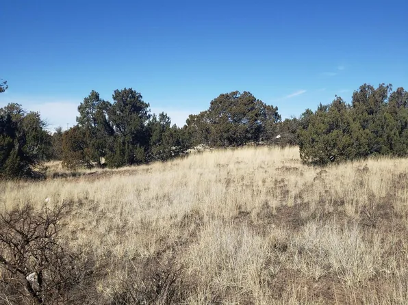 8546 Javelina Dr, Show Low, AZ 85901