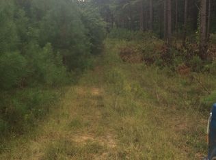 Skipwith Rd, Boydton, VA 23917