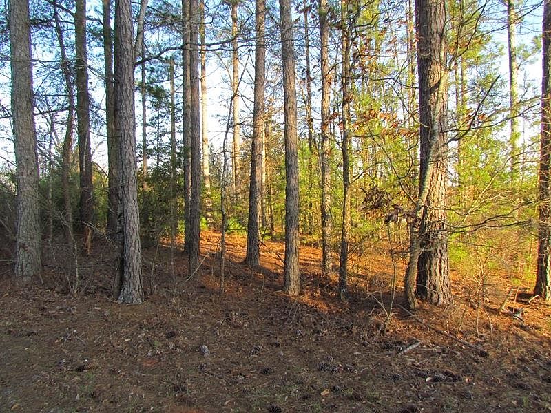 1st image of 0 Neal Rd