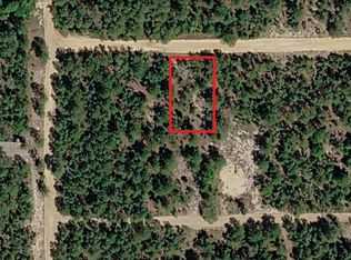 529 NOVA SCOTIA Street, Interlachen, FL 32148