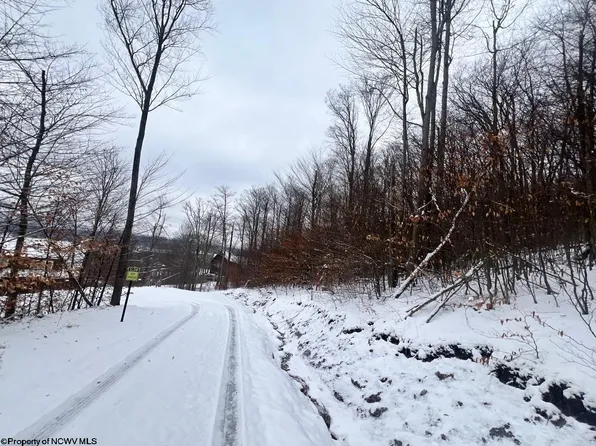 80 Hillside Rd, Davis, WV 26260