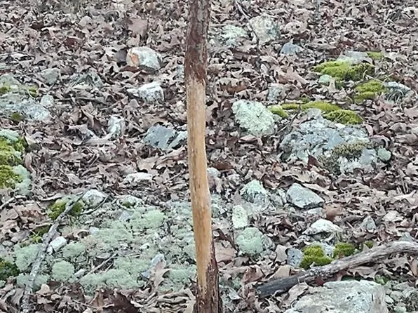 0 Moonshine Pass, Salem, MO 65560