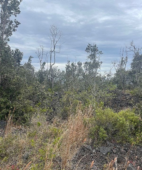 2nd image of Kailua Blvd Lot 6