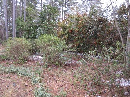 5th image of 1003 Lawton Cir