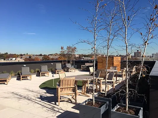 Rented by HCO NY | media 12