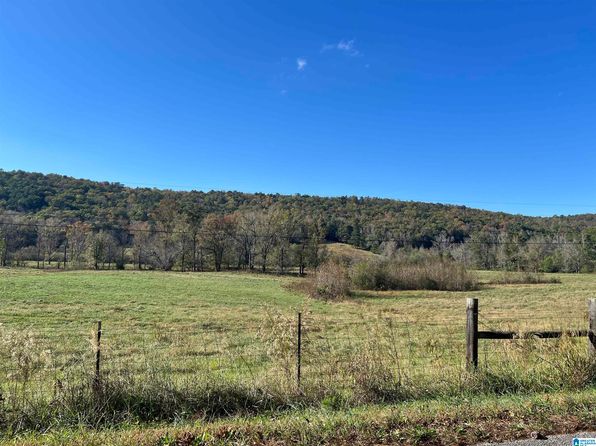 1045-1045A Sand Valley Rd, Remlap, AL 35133