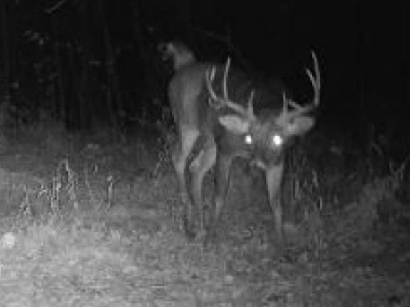 4th image of 20283 Thorn Rd