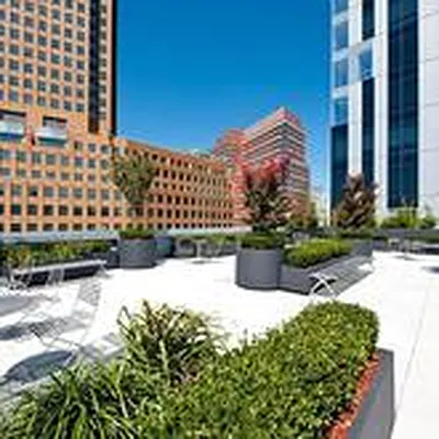 Rented by Compass | media 16