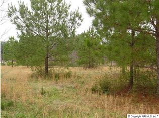 476 Union Grove Rd, Guntersville, AL 35976