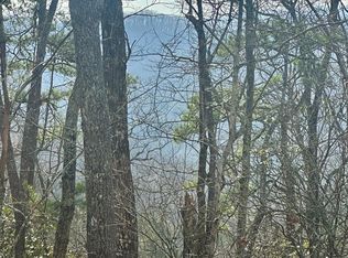 8 S Sapphire Rdg, Blue Ridge, GA 30513
