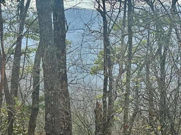 8 S Sapphire Rdg, Blue Ridge, GA 30513