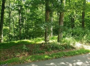 8 Cub Lake Rd, Byram Twp., NJ 07821