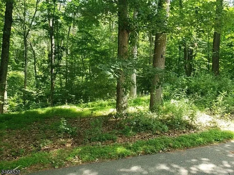 8 Cub Lake Rd photo 1