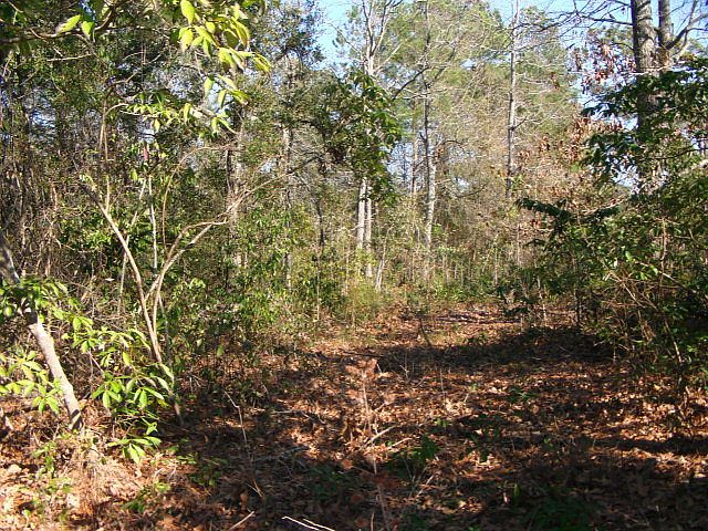 1st image of 82-Lot Hughes Road LOT 82