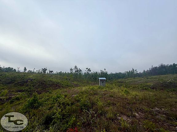 3rd image of 1122 Highway 356