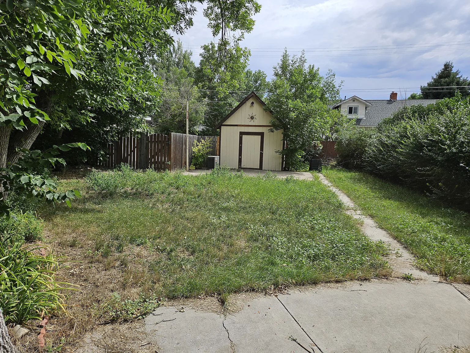 Studio, $800 — Photo 4