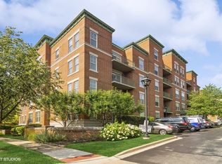 132 W Johnson St UNIT 207, Palatine, IL 60067