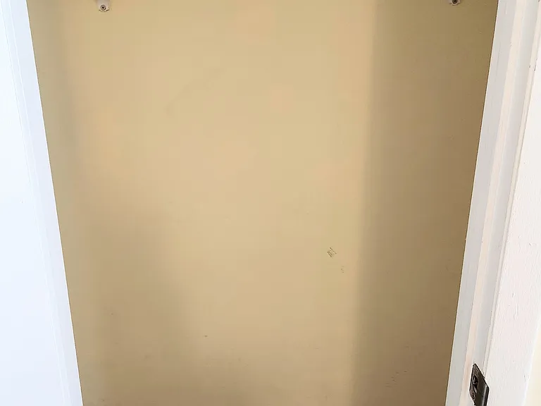 Closet in living room