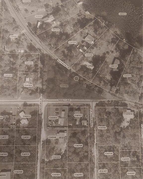 2nd image of Nancy Ave