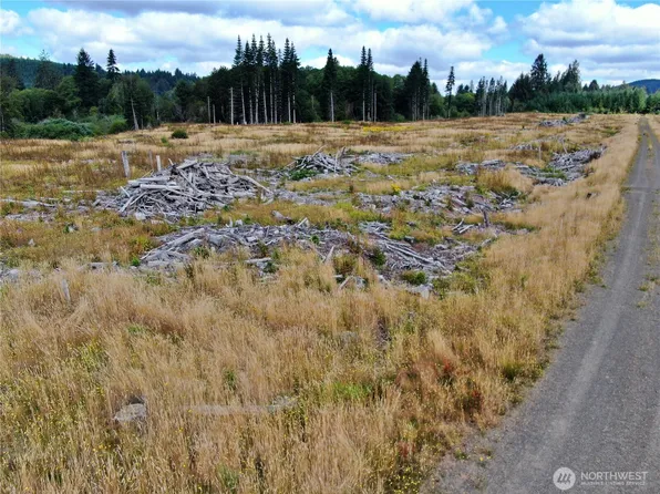 0 Off of North River Road, Cosmopolis, WA 98537