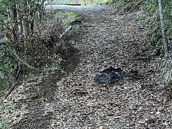 3rd image of 30010 N Hwy 101