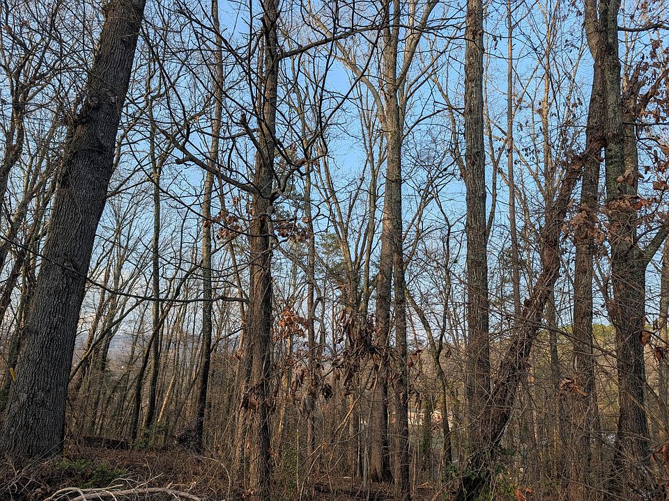 1st image of 0 Pine Breeze Cir Lot 2