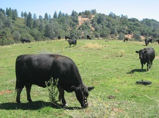 3060 Penobscot Rd, Cool, CA 95614