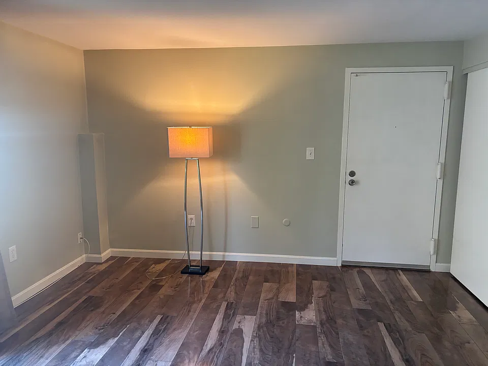 Entrance, hall closet, living room