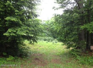 116 Forest Lake Rd, Chestertown, NY 12817