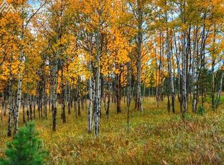 37 Leisure Ln, Woodland Park, CO 80863