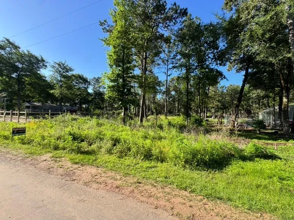 8020 Tawnyberry Ln, Plantersville, TX 77363