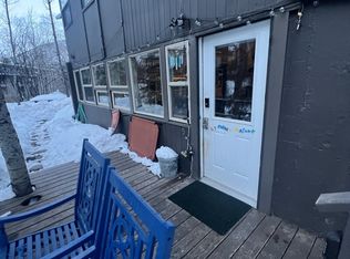 550 S Riverside Ave #5, Aspen, CO 81611