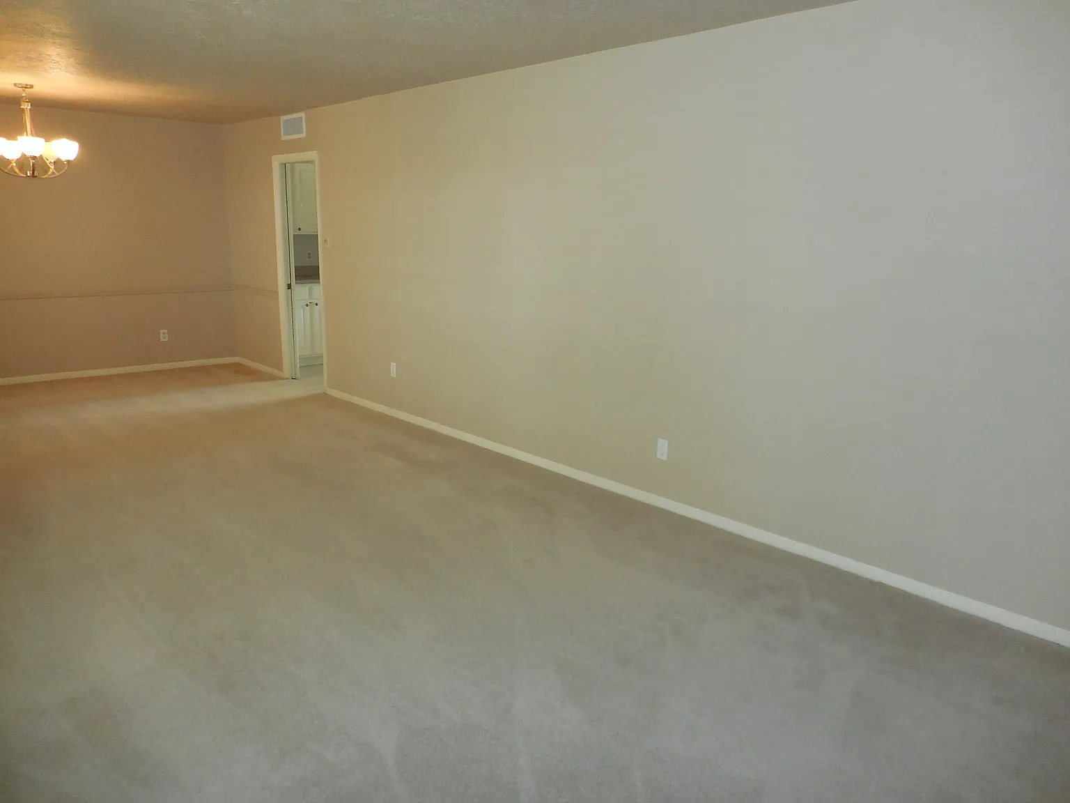 6308 Los Altos Drive - 1 — Photo 4